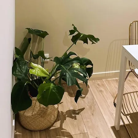 דירה L'esprit Beige Falaise ~ Gare St Roch ~ Free Parking אמיינס